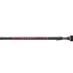 Daiwa Infeet Seabass 2.51m 10-35gr 2P Spin Kamış