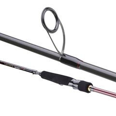 Daiwa Infeet Seabass 2.44m 7-28gr 2P Spin Kamış
